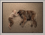 Leonberger, Chłopiec, Pies, Plaża